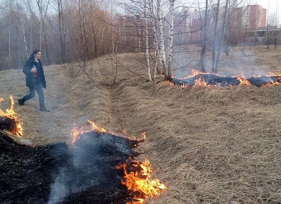 Нижегородцы начали жечь сухую траву в городе